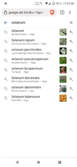 Screenshot_20221128-173753585.webp