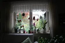 Advent 0622.webp