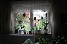 Advent 0622.JPG