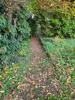 20221018_175229.webp