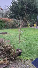 20221129_130316.webp
