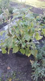 20221126_133914.webp
