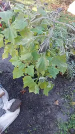 20221126_133929.webp