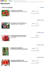 Tomatensamen für 2023.jpg