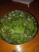 20221202_063529.webp
