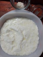 IMG_20221201_154525.jpg