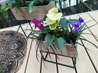 IMG_20220526_142845_2.webp
