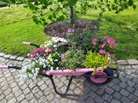 IMG_20220527_173146.jpg