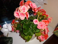 DSC02744.JPG