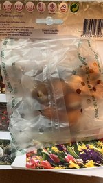 F6900945-E121-4CBE-B466-37B66291700C.jpeg