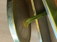 Flieder-Blatt_Fuß_04.jpg