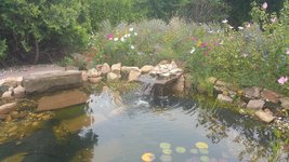 20190817_161046.jpg