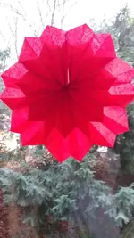 20221204_091641.webp