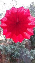 20221204_091641.jpg