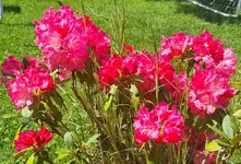 20221205_121307.webp