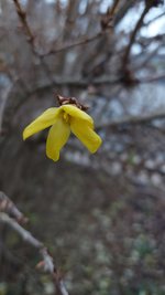 20221203_161314.jpg
