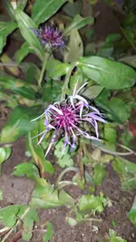 20221203_163728.webp