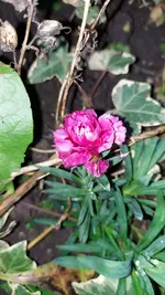 20221203_163746.webp