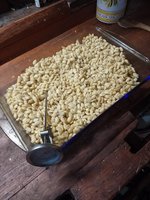 IMG_20221202_143727.jpg