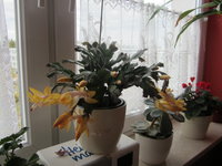 IMG_2042.JPG