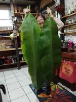 IMG-20221204-WA0010.webp