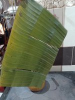 IMG_20221205_154431.jpg