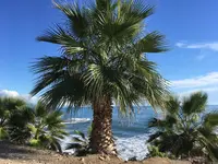 IMG_0536.webp IMG_0536.webp