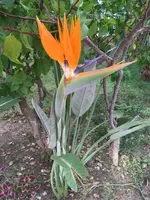 IMG_0550.webp IMG_0550.webp