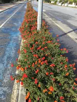 IMG_0615.webp IMG_0615.webp