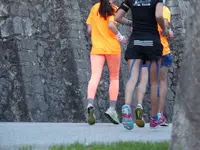 P1230779.webp