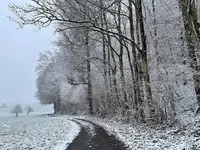 A6765BF7-CF0B-4D07-8B54-EEBA2AD3653D.webp