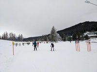 PXL_20221209_133142548.MP.jpg