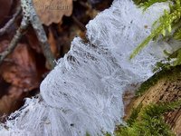 Wandern am Rothenberg 20.jpg