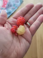 20221210_122239.webp