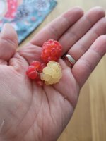 20221210_122239.jpg
