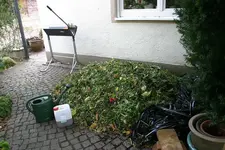 EM-Vortrag2016 064.webp