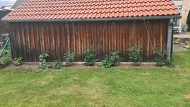 20220607_195340.webp