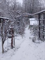 IMG_20221211_092135.jpg