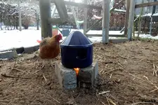 DSCN4554.webp