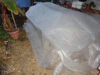 DSC02746.JPG