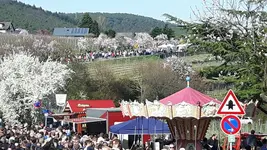 Mandelblühtenfest.jpg