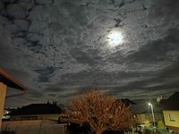 IMG_20221207_182330.jpg