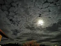 IMG_20221207_182304.webp