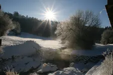 Winter2317.webp