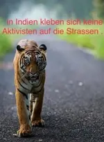 IMG-20221109-WA0002.webp