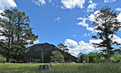 BildKiaora.jpg