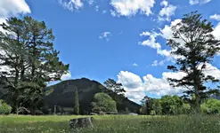BildKiaora.webp