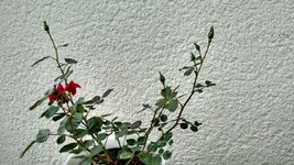 IMG_20170903_154832532_HDR.webp
