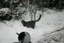 Jan.0810.webp