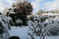 Dezember   0222.webp